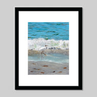 Prints