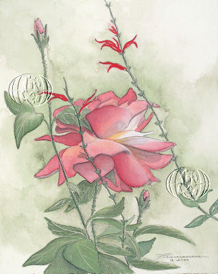 Media image 8