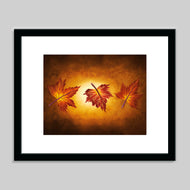 Prints
