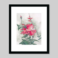 Prints