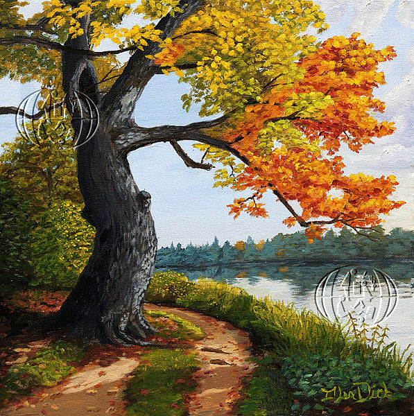 Media image 12