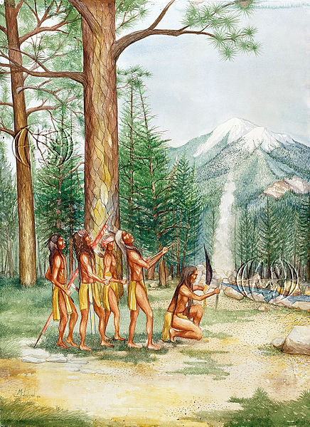 Media image 3