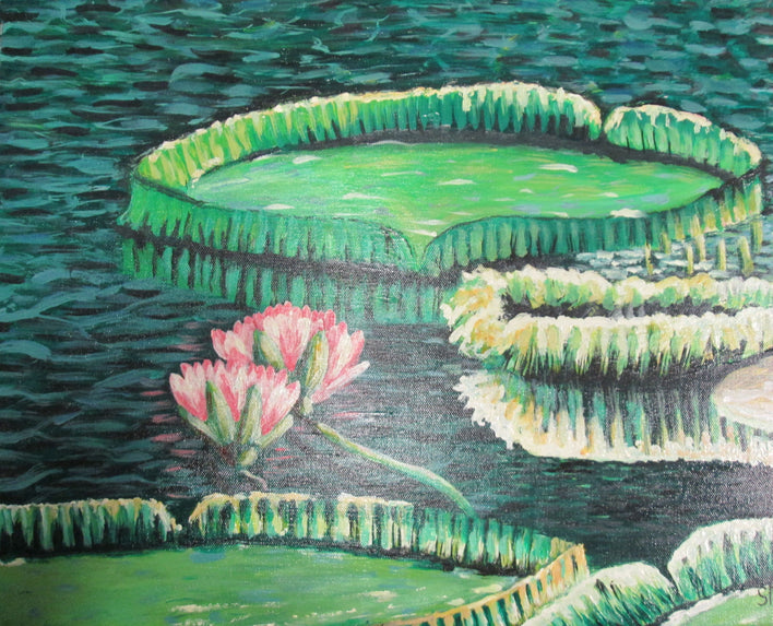 Media image 7