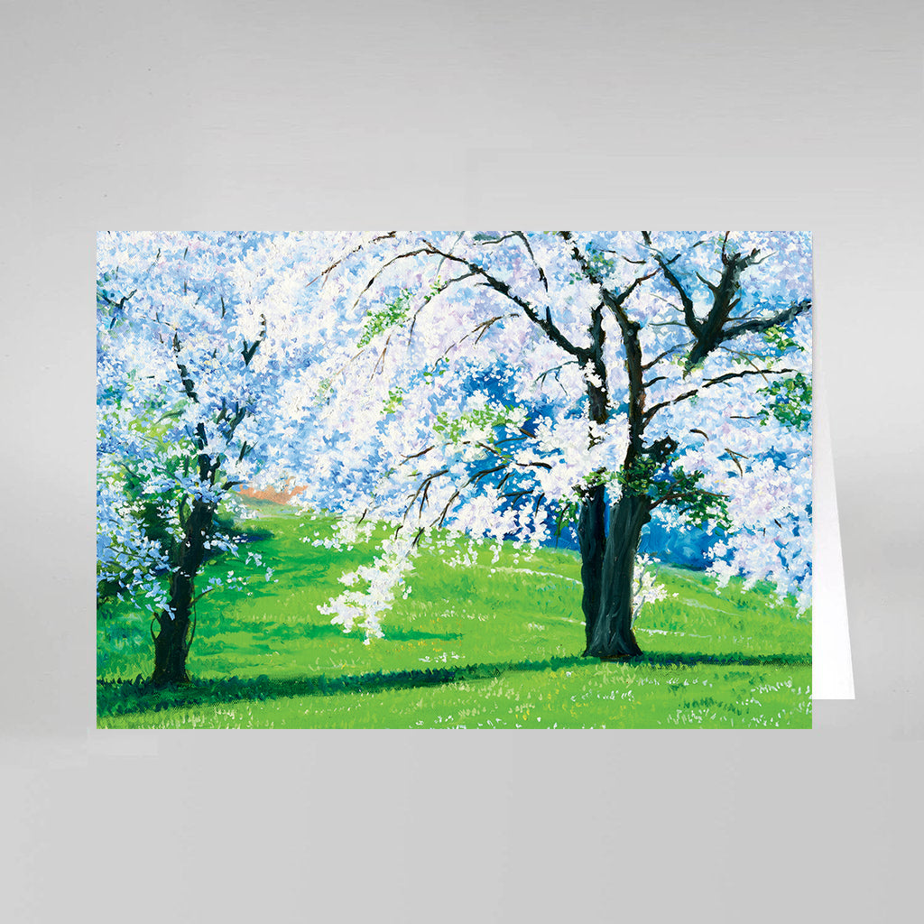 Springtime Blossoms #505