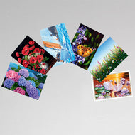 6 All Occasion Cards w/ Envelopes