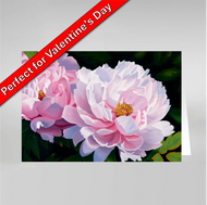 Blushing Peonies #504