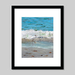 Prints
