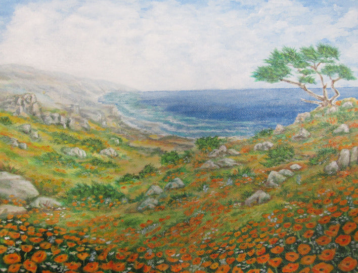 Media image 6