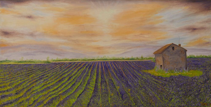 Media image 6