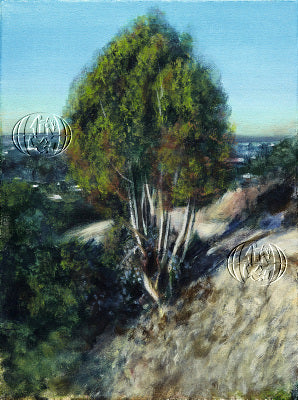 Media image 8