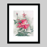 Prints