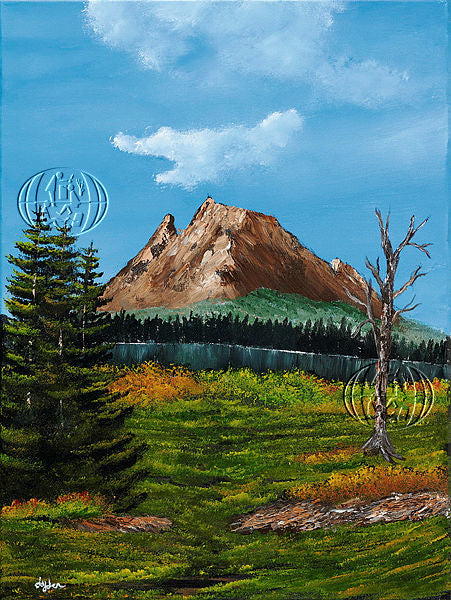Media image 6