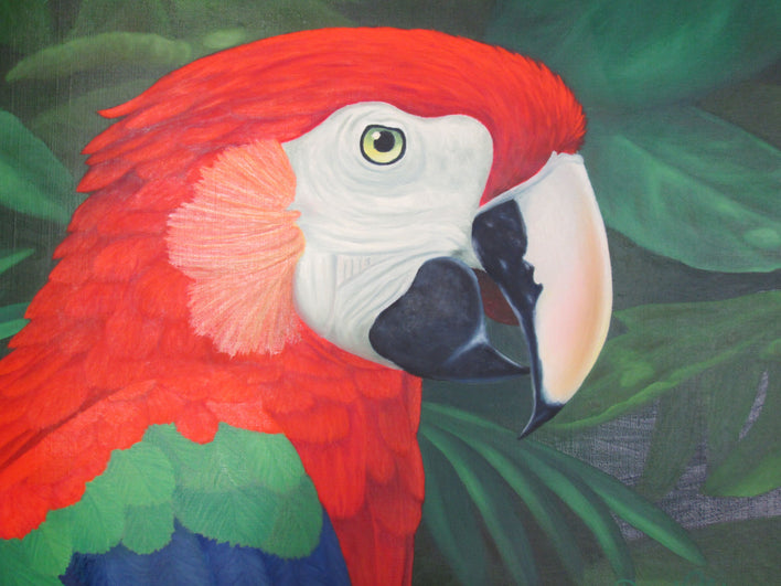 Media image 4