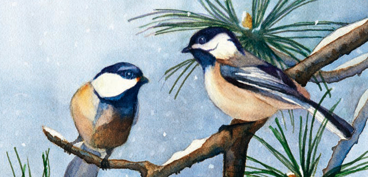 Winter Chickadee, By Sara Jane Parsons