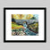 Prints