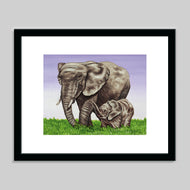 Prints