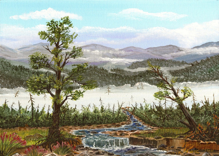 Media image 6
