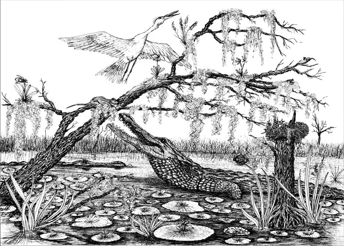 Media image 12