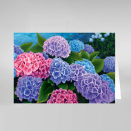 Blooming Hydrangeas #601