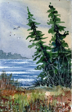 Media image 2