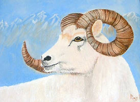 Media image 2