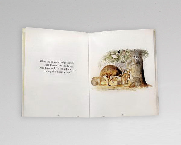 Children’s Book “Teddy’s Night Lost in the Bush”
